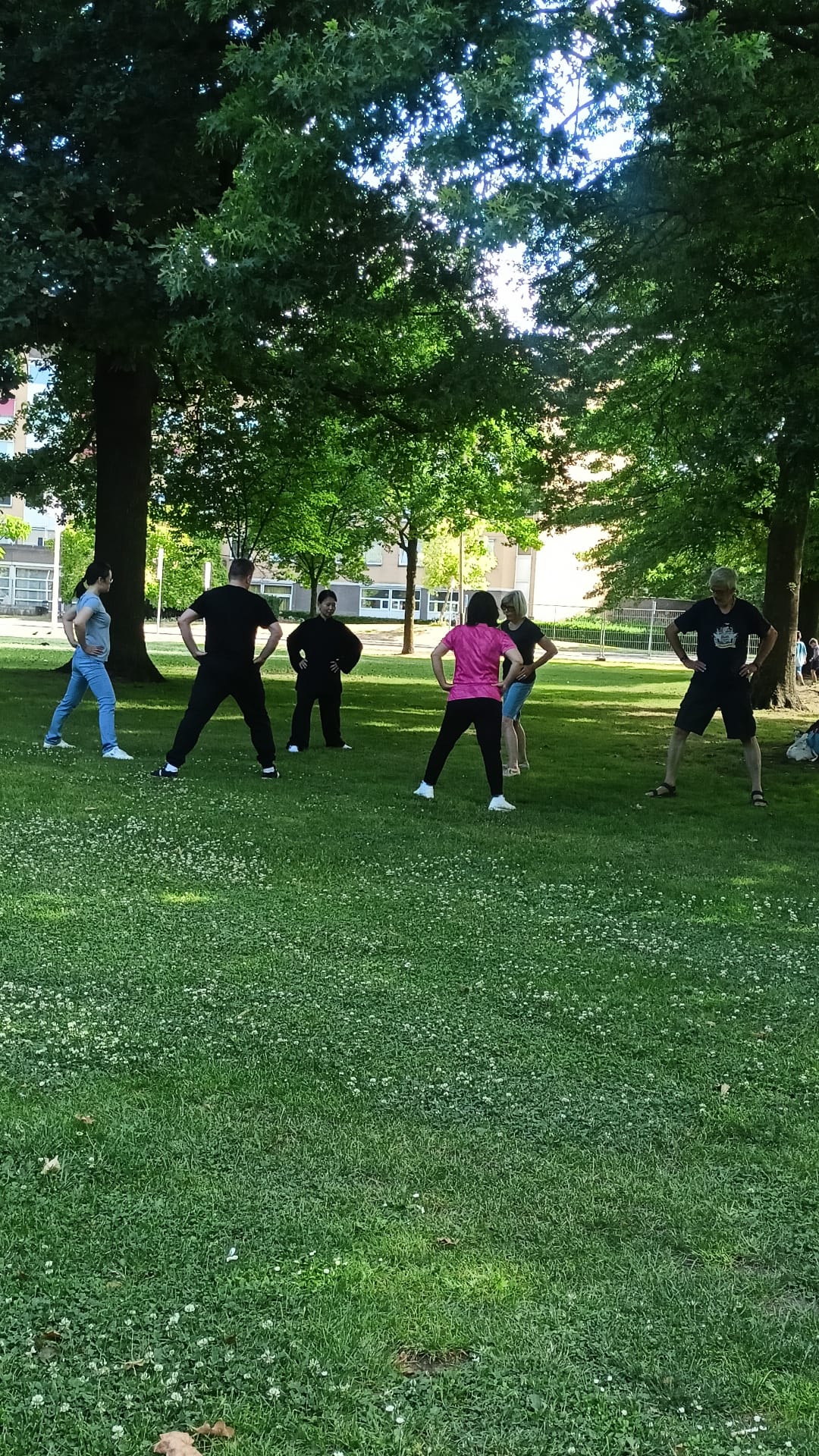 Tai Chi Chuan Course